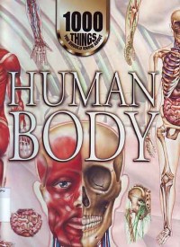 Image of Human Body