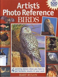 Image of Artist's Photo Reference: Birds
